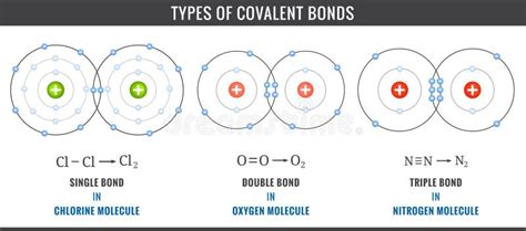 Three Types of Covalent Bonds Including Single, Double, and Triple ...