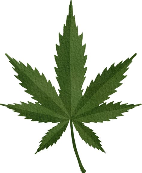 Cannabis Flower PNGs for Free Download