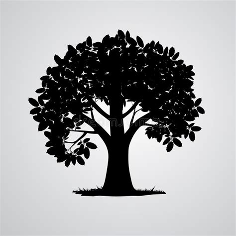 Vector Black Tree Silhouette Stock Vector - Illustration of plant ...