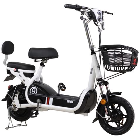 Cheap electric bicycle multi-purpose lithium-ion two-seat electric bike