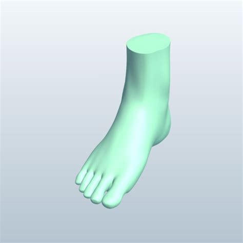 Foot V3 Free 3D Model - .obj .stl - Free3D