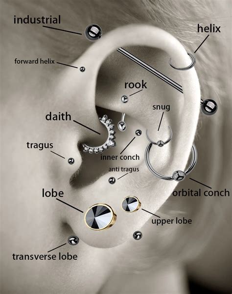 In case you need a helpful diagram of which piercings are which. Ear ...