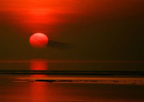 Sunset and birds over Morecambe Bay #morecambe #morecambebay #sunset ...