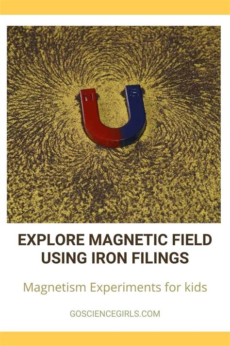 How to Use Iron Filings to See Magnetic Field