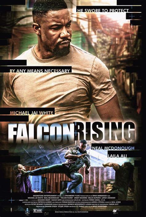 Falcon Rising (Film) - TV Tropes