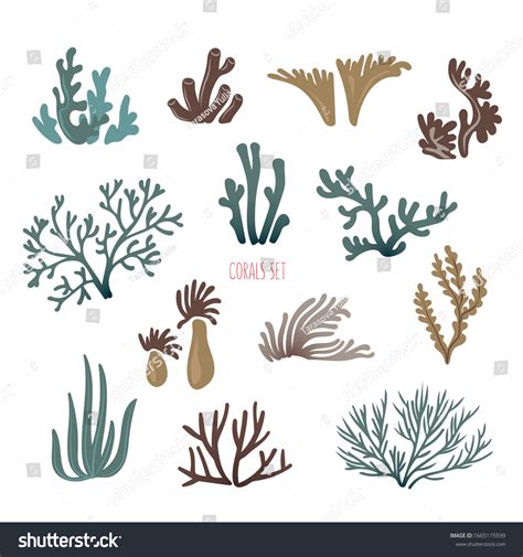 Set Underwater Ocean Coral Reef Plants Stock Vector (Royalty Free ...