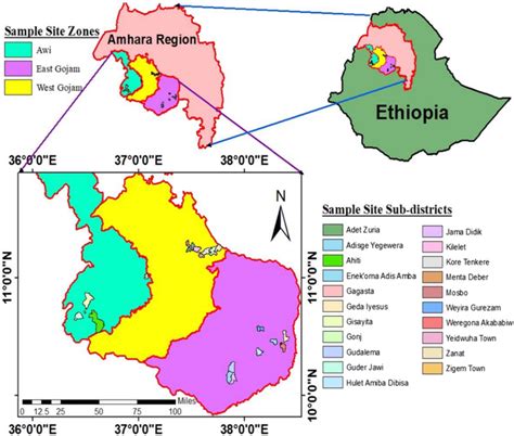 Map of Amhara Region showing teff sampling zones and... | Download ...