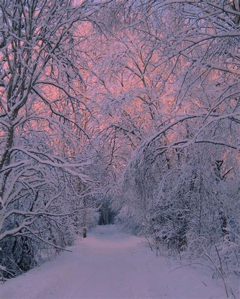 #snow #winter #forest #nature | Winter scenery, Winter landscape ...