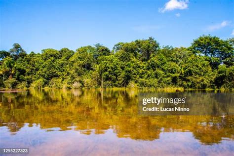 Riparian Zone Photos and Premium High Res Pictures - Getty Images