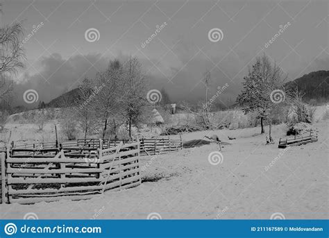 Winter Landscape in Maramures Stock Image - Image of winter, maramures ...