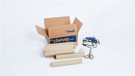 Chewy Pet Supplies Box Craft Step-by-Step DIY Life Hacks | BeChewy