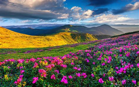 Spring Mountains Desktop Wallpaper | Mountain landscape, Scenery ...