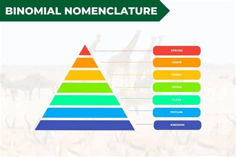 Binomial Nomenclature