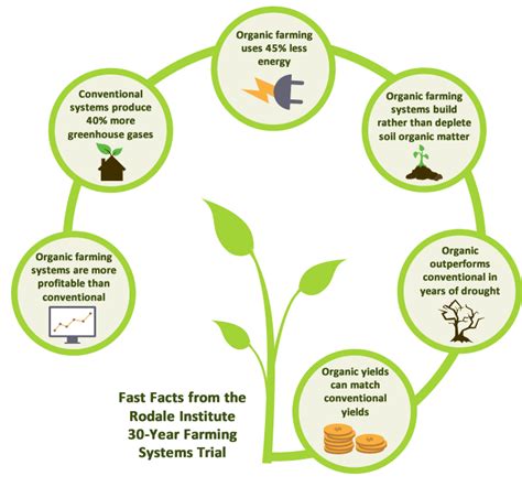 How Organic Farming Strengthens Global Food Security – Primal Group