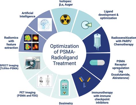 Optimization of prostate cancer treatment with PSMA radionuclide ...