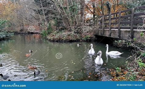 Stover Country Park Stover,Â Newton Abbot,Â Devon Stock Photo - Image ...