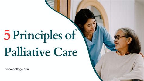 5 Principles of Palliative Care in Healthcare Field