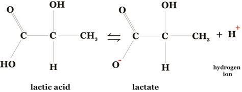 Ph Of Lactic Acid Strong Or Weak | itechguide