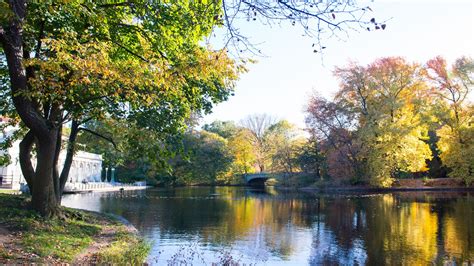 Prospect Park: secrets of Brooklyn’s beloved park - Curbed NY