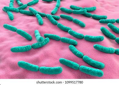 311 Lactobacillus casei Images, Stock Photos & Vectors | Shutterstock