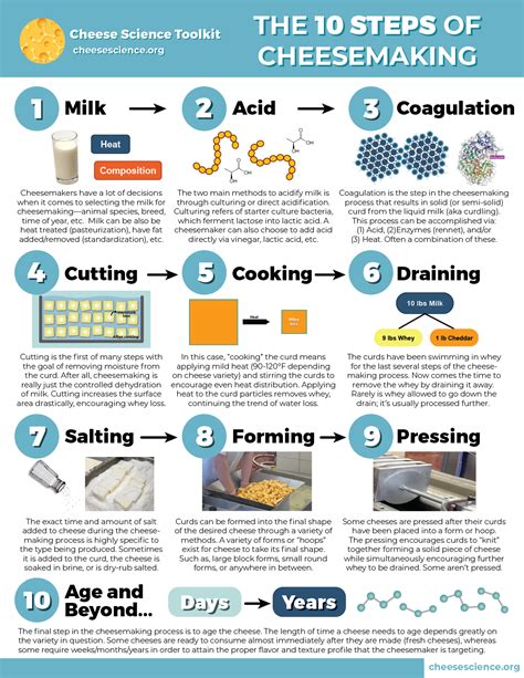 10 Steps of Cheesemaking Infographic - Cheese Science Toolkit ...