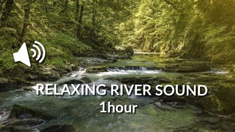 Relaxing River Sound (1hour) - YouTube