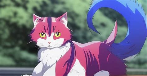 Best Anime Cat Names (225+ Inspired Ideas)