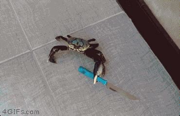 Knife-wielding-crab