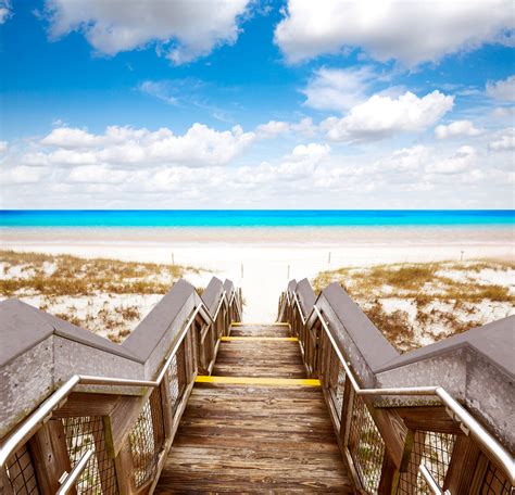 The Ultimate Guide to Henderson Beach State Park, FL - Venture Found ...