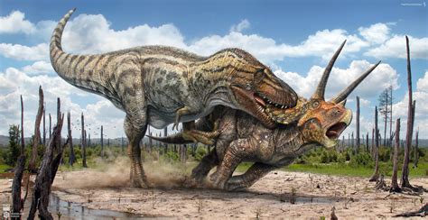 T.rex vs Triceratops by Swordlord3d on DeviantArt