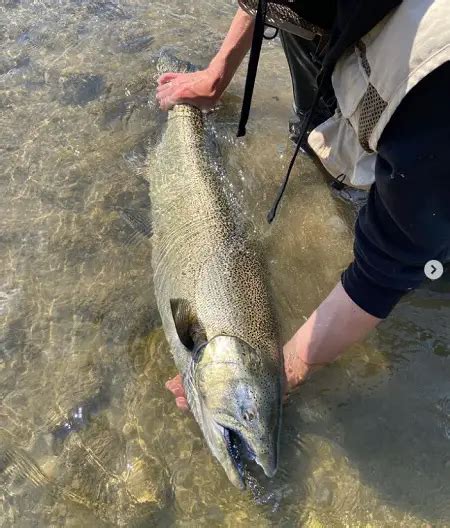 Fishing The Salmon River Idaho: A Complete Guide - Trout Steelhead And ...