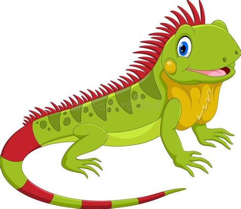 Vector Illustration of Cute Iguana Cartoon Stock Vector - Illustration ...