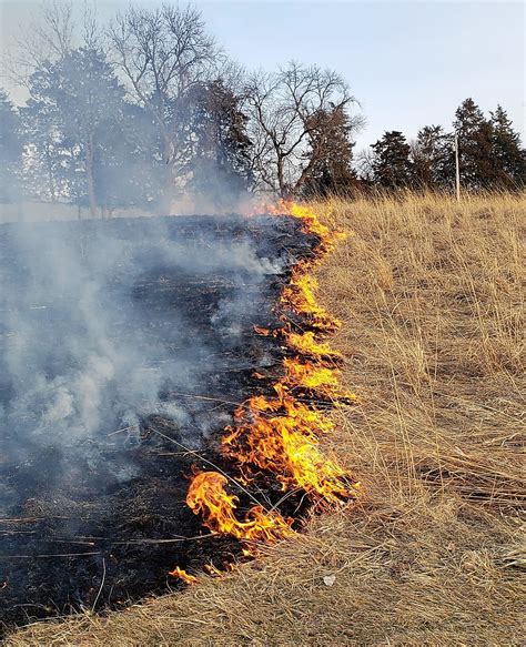 Controlled Burns | Scott County, Iowa