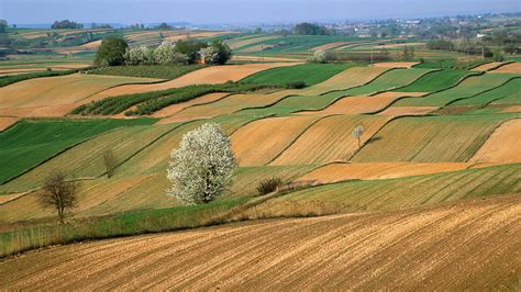 Beautiful View Of Farm Land HD Nature Wallpapers | HD Wallpapers | ID ...