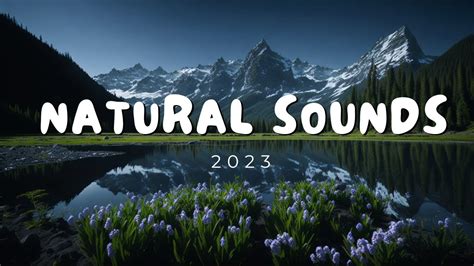 Natural Sounds 2023 || For Relaxation and Inspiration - YouTube