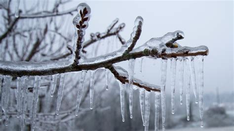 Freezing rain warning for much of Southwestern Ontario | CTV News