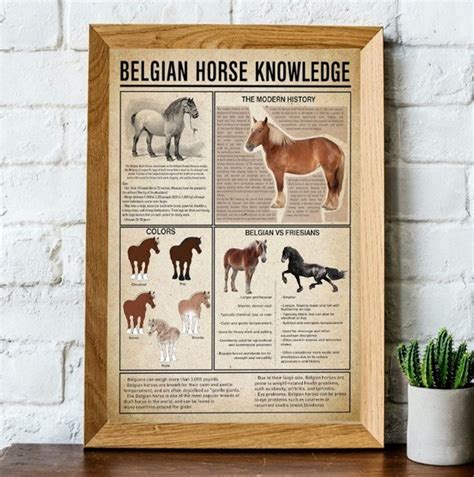 Belgian Draft Horse , Colors, Belgian Vs Friesians Knowledge Poster ...