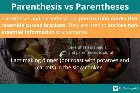 Parenthesis vs Parentheses: What's the Difference?