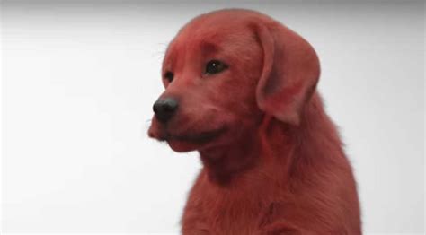 Live-Action Clifford the Big Red Dog Movie Gets an Adorably Tiny Teaser ...