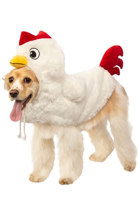 Chicken Pet Costume | Pet costumes, Pet costumes for dogs, Dog costume