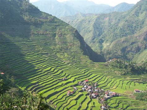 [전원] 13. 필리핀 코르디예라 계단식 논지대 (Cordillera Terraces, Philippines)... : 네이버 블로그