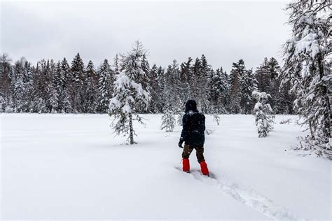 Adirondack Park in Winter: Things to Do and More! - Territory Supply