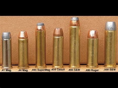 454 Casull Raging Bull Bullet