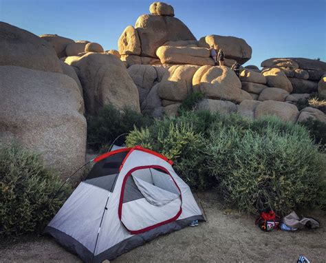 Your Ultimate 2021 Guide to Camping in Joshua Tree National Park ...