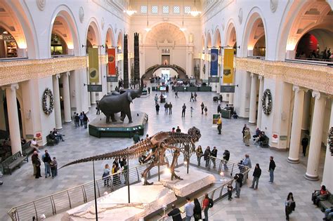 Field Museum of Natural History in Chicago - Discover the History of ...