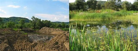 Ecological restoration - Reclamation, Rehabilitation, Restoration ...