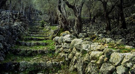 Family friendly and experienced walking routes in Majorca