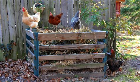 DIY: Chicken Manure Tumbling Composter | Community Chickens