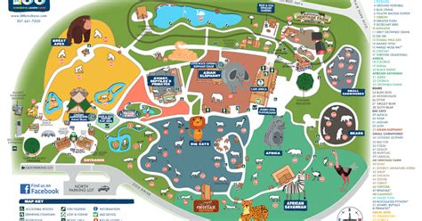 Zoo Map | Little Rock Zoo