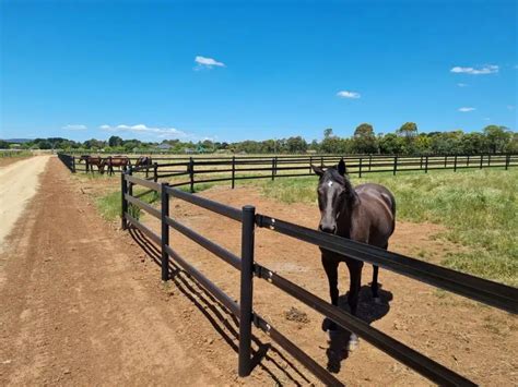 Horse fencing and fence posts - best combinations.